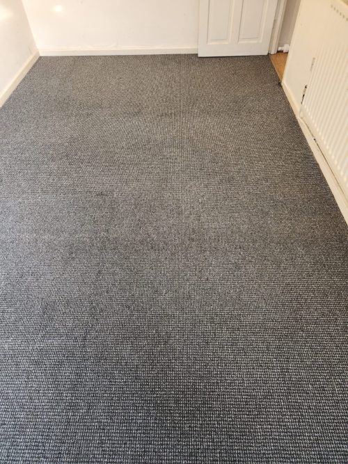 after clean carpet