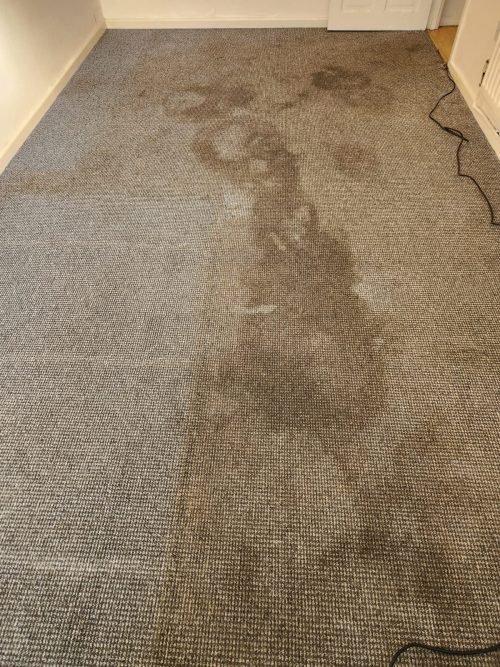 before extremely soiled carpet
