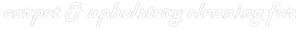 carpet and upholstery cleaning lemon and lavender font