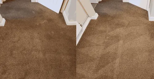 brown carpet before + after